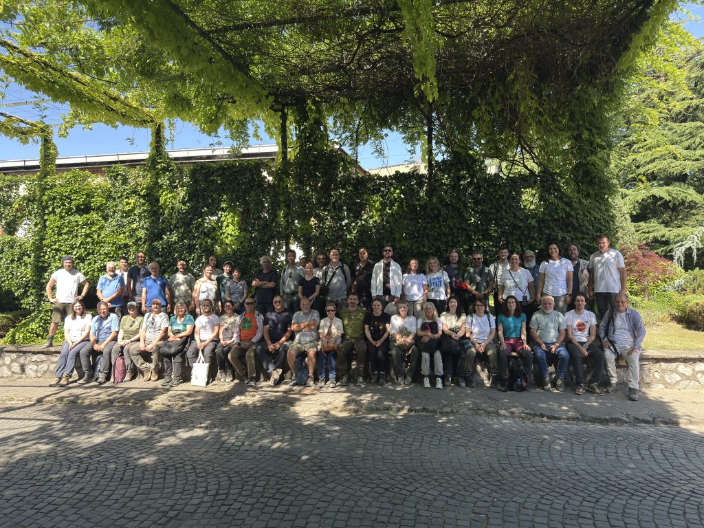 41th EADSVE Meeting – Skopje 2026